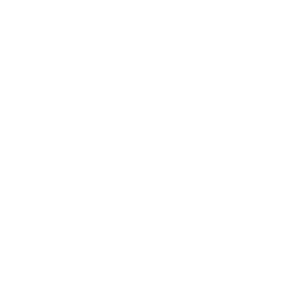 Icono Seguridad
